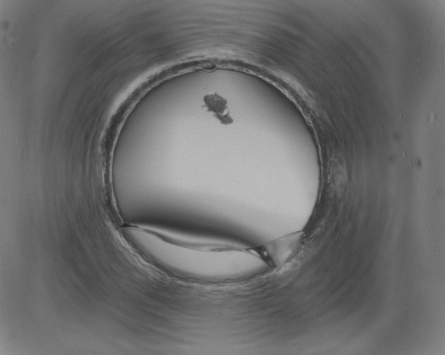 X0000081481118200702021851