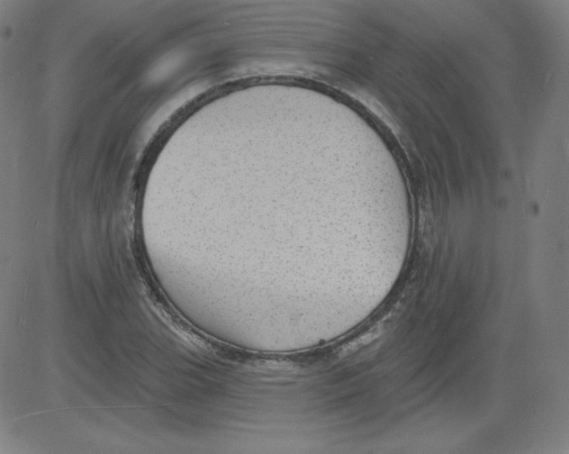 X0000081481119200702021851