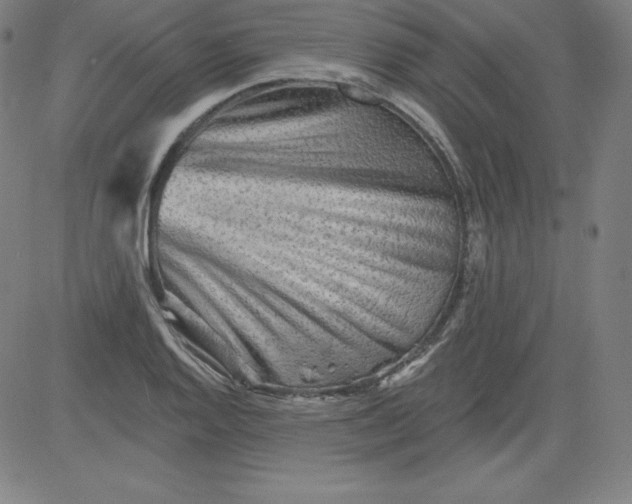 X0000081481128200702021851