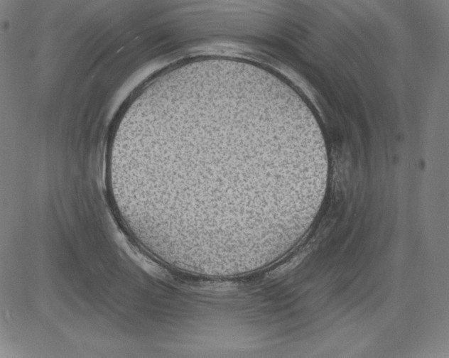 X0000081481131200702021851