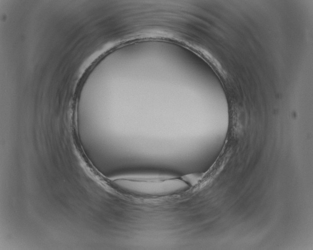 X0000081481134200702021851