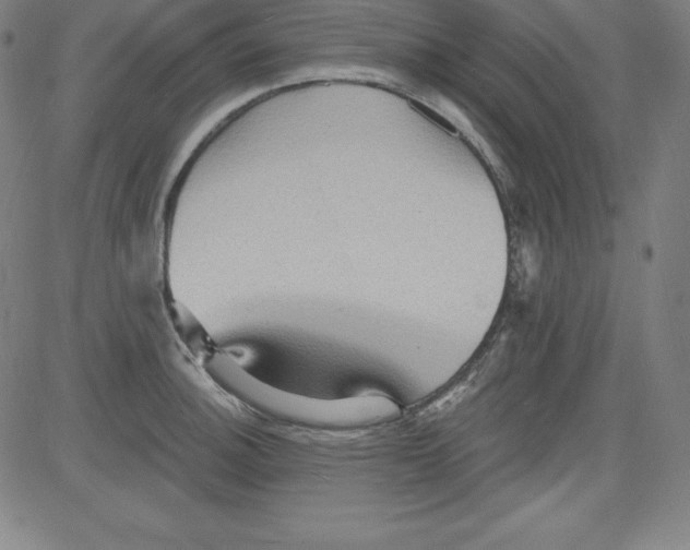 X0000081481140200702021851