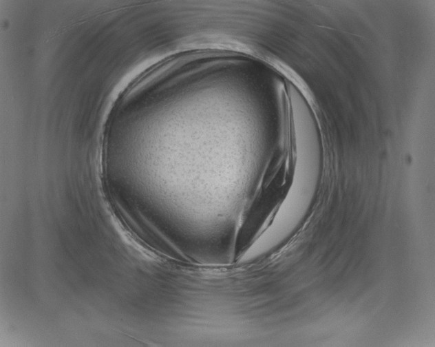 X0000081481144200702021851