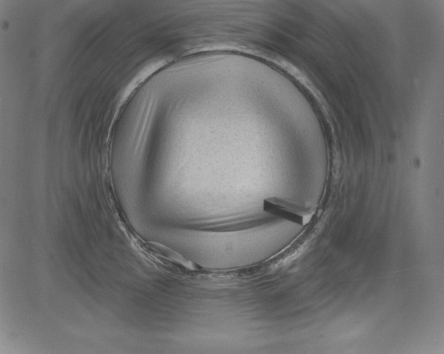 X0000081481145200702021851