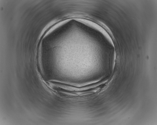 X0000081481146200702021851
