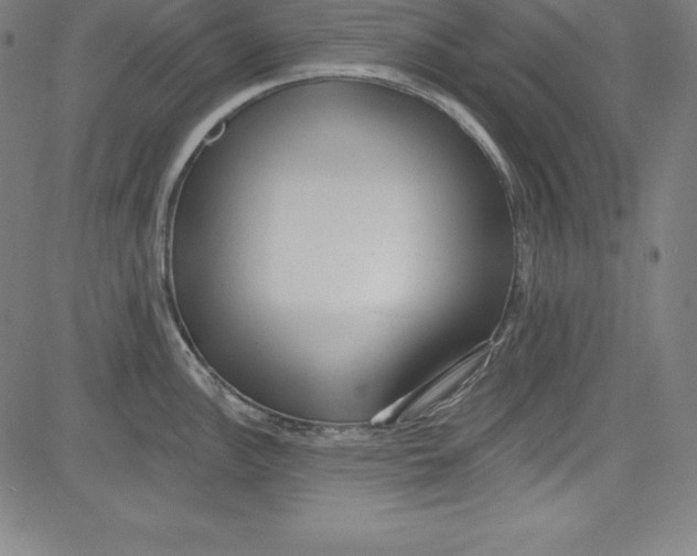 X0000081481148200702021851