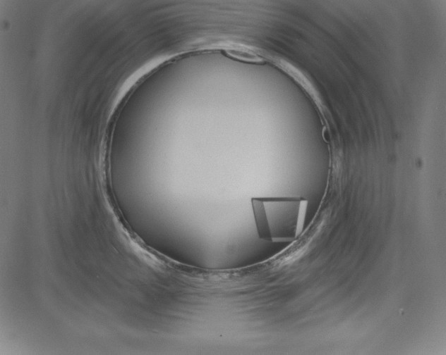 X0000081481149200702021851