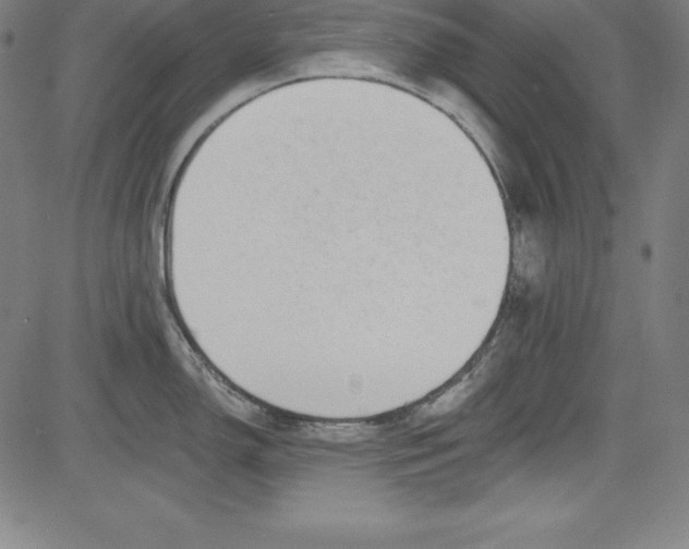 X0000081481150200702021851