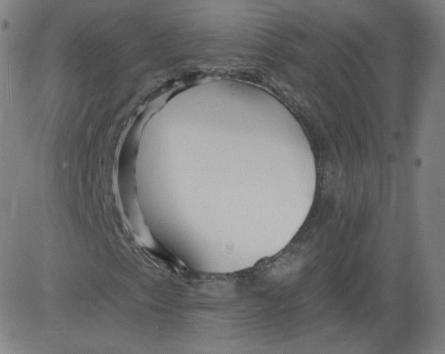 X0000081481153200702021851