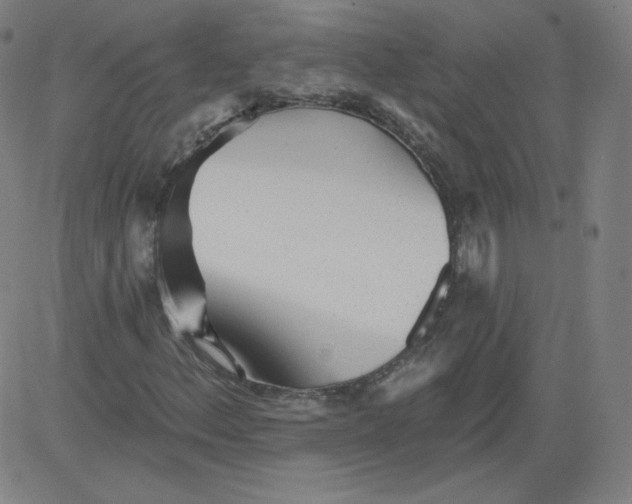 X0000081481156200702021850