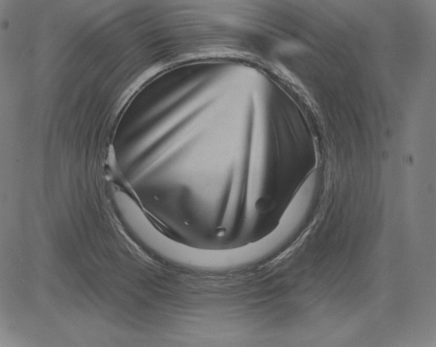 X0000081481177200702021850