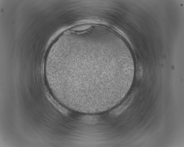 X0000081481179200702021850