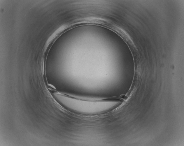 X0000081481180200702021850