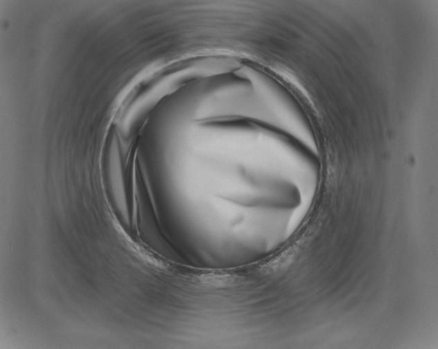 X0000081481181200702021850