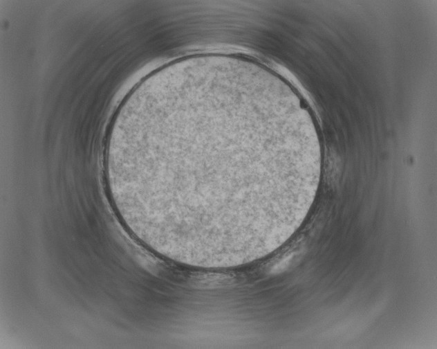 X0000081481187200702021850