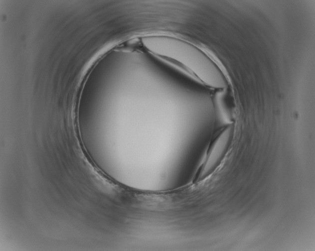 X0000081481197200702021850