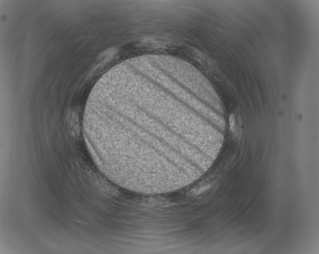X0000081481203200702021849