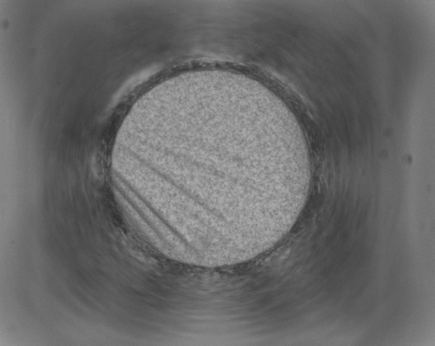 X0000081481207200702021849