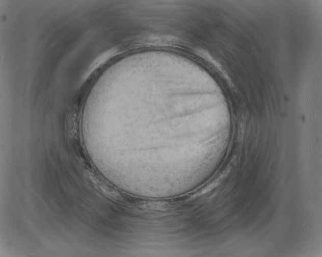 X0000081481211200702021849