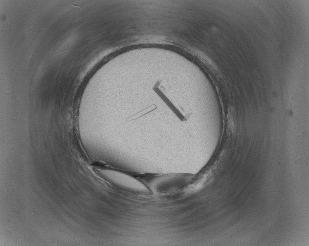 X0000081481212200702021849