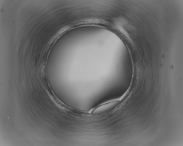 X0000081481225200702021849