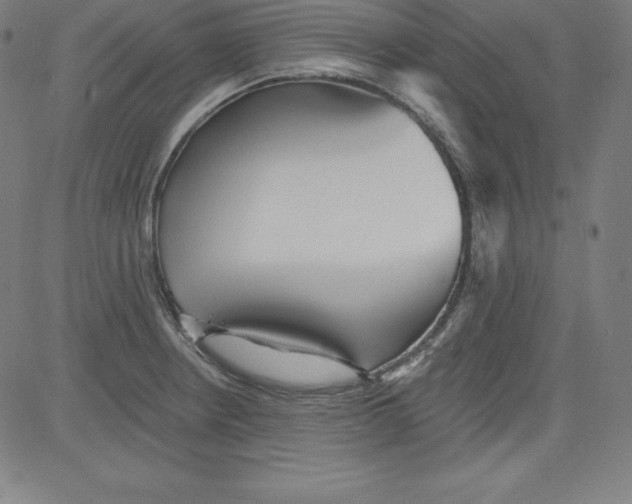 X0000081481234200702021850