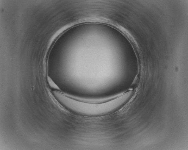 X0000081481238200702021850