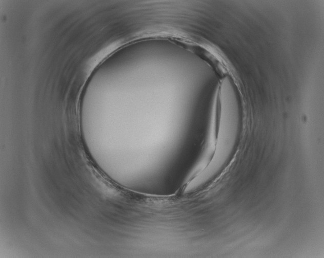 X0000081481242200702021850