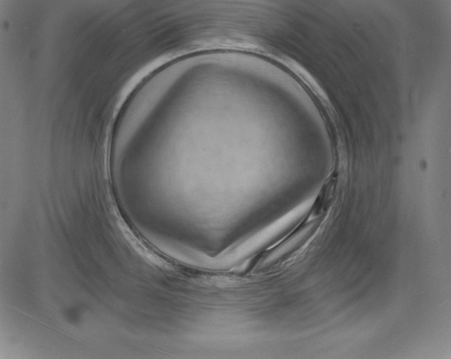 X0000081481246200702021850