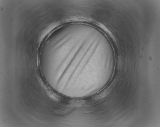 X0000081481269200702021849