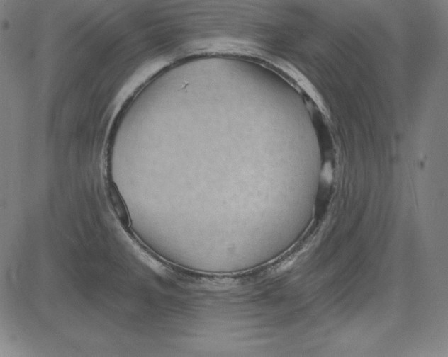 X0000081481285200702021848