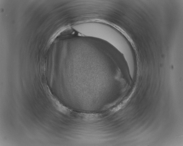 X0000081481289200702021848