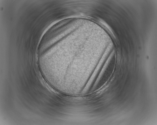 X0000081481292200702021848