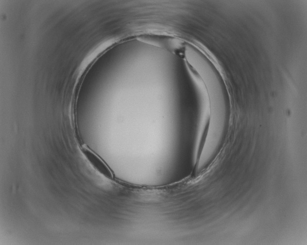 X0000081481293200702021848