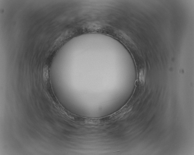 X0000081481299200702021847