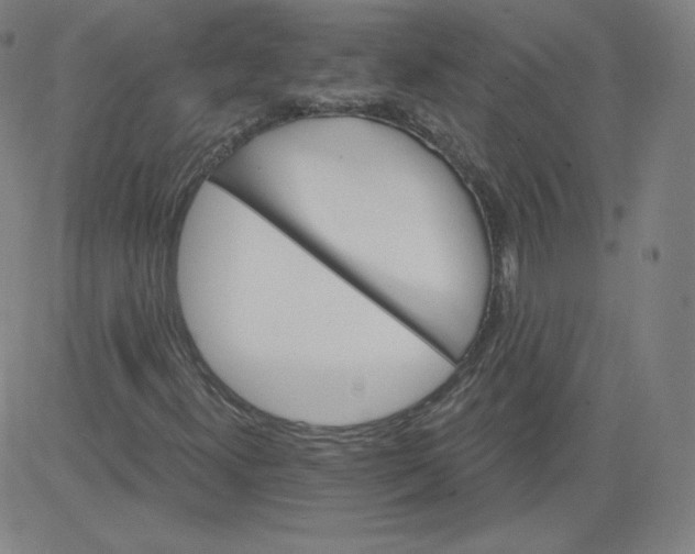 X0000081481300200702021847