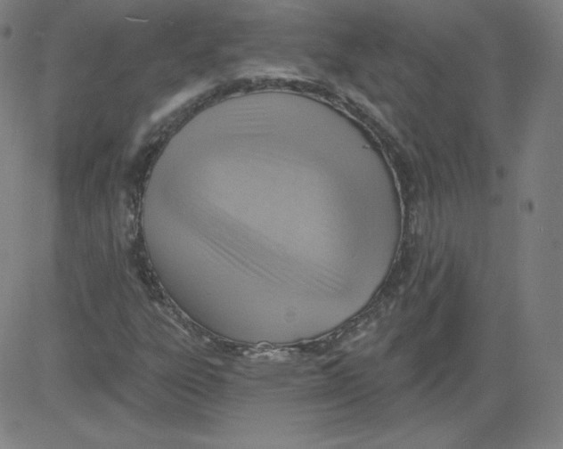 X0000081481303200702021848