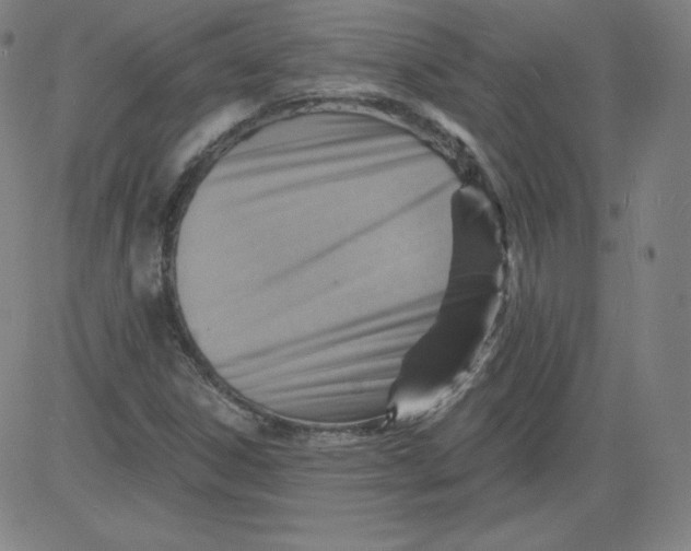 X0000081481306200702021848