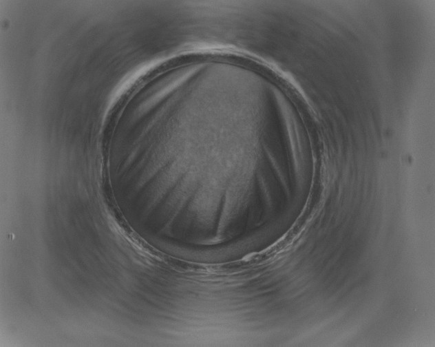 X0000081481319200702021848