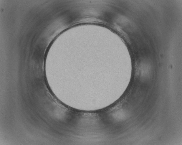 X0000081481322200702021848