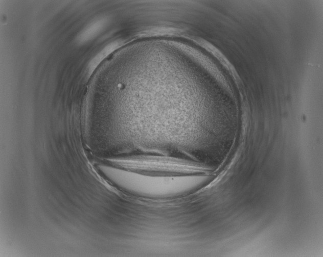 X0000081481337200702021848