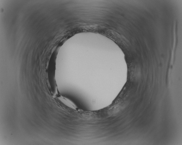 X0000081481345200702021847