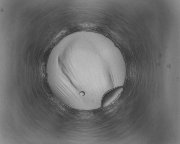 X0000081481346200702021847