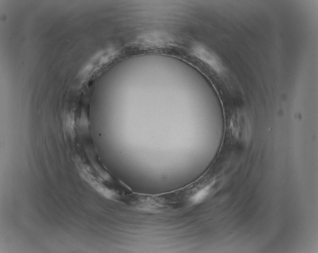 X0000081481348200702021847