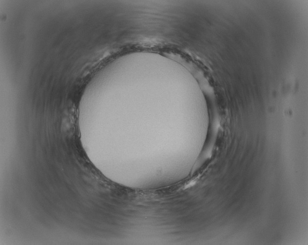 X0000081481349200702021847