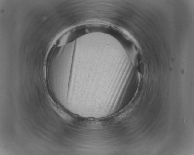 X0000081481372200702021847