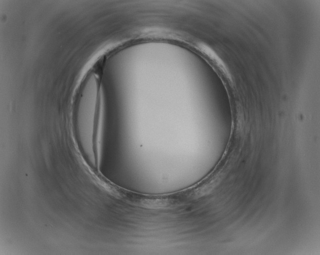 X0000081481376200702021847