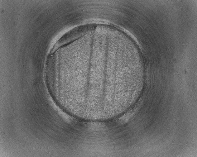 X0000081481379200702021847