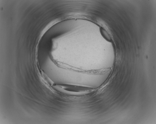 X0000081481386200702021847