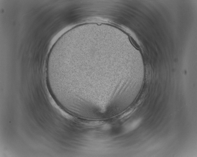 X0000081481387200702021847